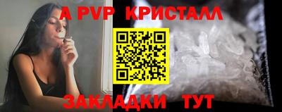 крисы Тара