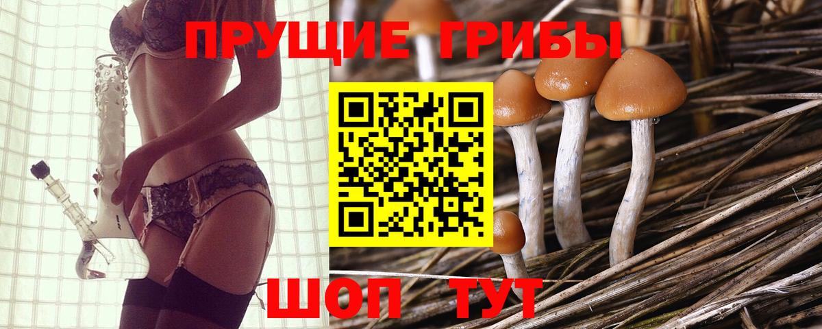Галлюциногенные грибы Psilocybine cubensis Нарткала