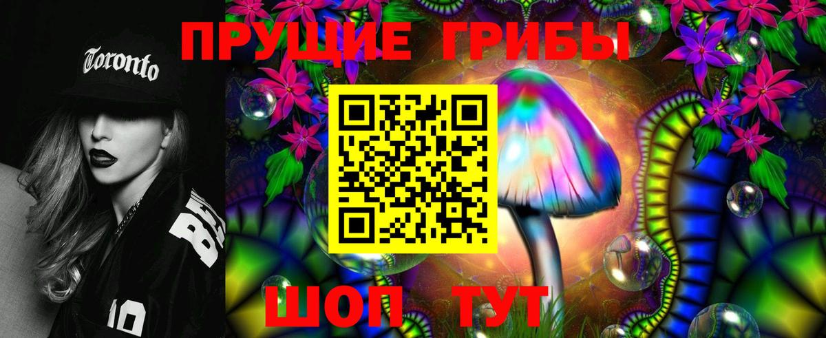 Галлюциногенные грибы мицелий  Псилоцибиновые грибы Psilocybine cubensis  Нарткала  Вход с VPN 